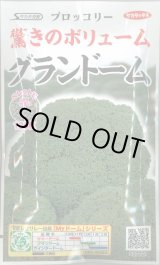 画像: 送料無料　[ブロッコリー]　グランドーム　ぺレット種子　125粒　(株)サカタのタネ   実咲550