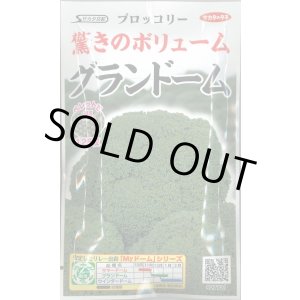 画像: 送料無料　[ブロッコリー]　グランドーム　ぺレット種子　125粒　(株)サカタのタネ   実咲550