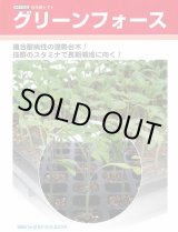 画像: 送料無料 [台木/トマト用] グリーンフォース ペレット2L1000粒 タキイ種苗(株)