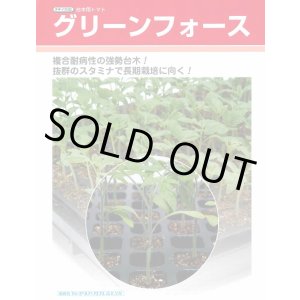 画像: 送料無料 [台木/トマト用] グリーンフォース ペレット2L1000粒 タキイ種苗(株)