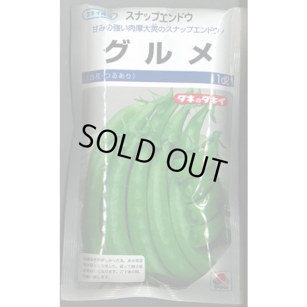 画像1: [えんどう]　スナップエンドウ　グルメ　1L(およそ3160粒)　タキイ種苗(株) (1)