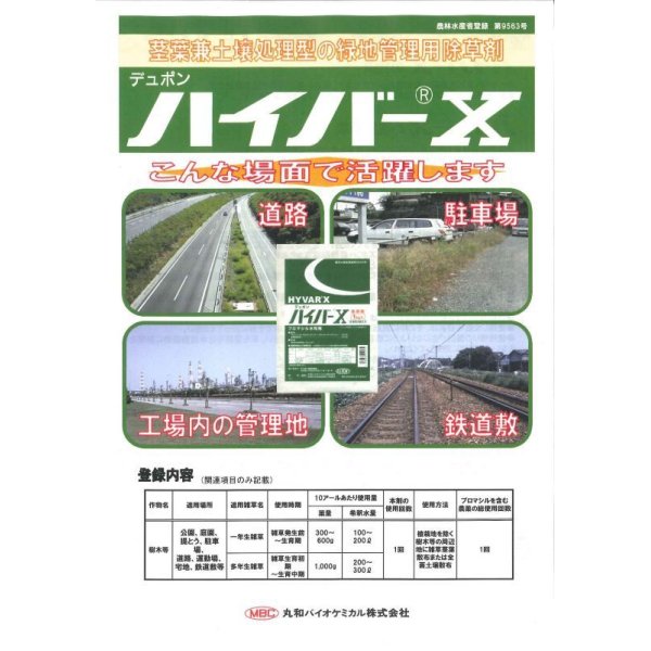 画像2: 農薬　除草剤　ハイバーＸ　ブロマシル水和剤　100g (2)