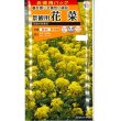 画像1: 花の種　お徳用パック！ 景観用　花菜　京都伏見寒咲　20ml タキイ種苗（株） (1)