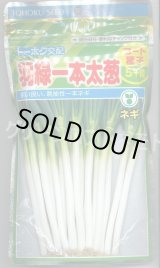 画像: [ねぎ] 羽緑一本太葱 ペレット種子 5000粒 (株)トーホク
