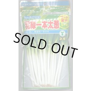 画像: [ねぎ] 羽緑一本太葱 ペレット種子 5000粒 (株)トーホク