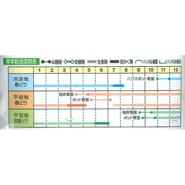 画像2: [ねぎ]　羽緑一本太葱　コート種子　5000粒　（株）トーホク (2)