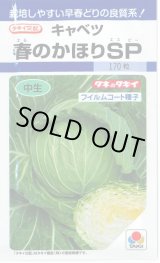 画像: 送料無料　[キャベツ]　春のかほりSP　2000粒　タキイ種苗(株)