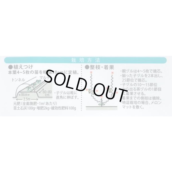 画像5: [メロン] ハスキー 7粒 （株）大和農園 (5)