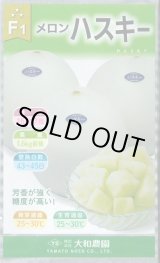 画像: 送料無料　[メロン]　ハスキー　7粒　（株）大和農園