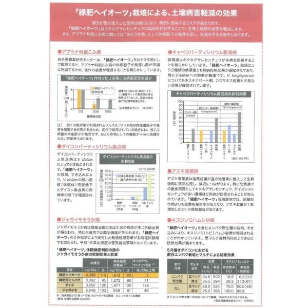 画像5: [緑肥]　エンバク　ヘイオーツ　1kg　雪印種苗(株) (5)