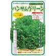 画像1: [レタス]　ハンサムグリーン　100粒　横浜植木（株） (1)