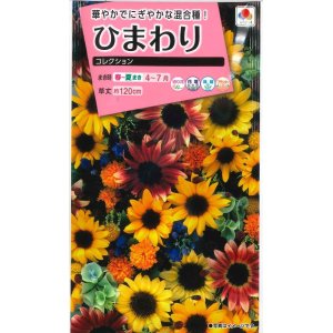 画像: 花の種　ひまわり　コレクション　小袋　タキイ種苗（株）