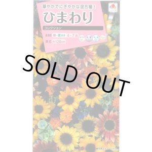 画像: 送料無料　花の種　ひまわり　コレクション　小袋　タキイ種苗(株)NL300