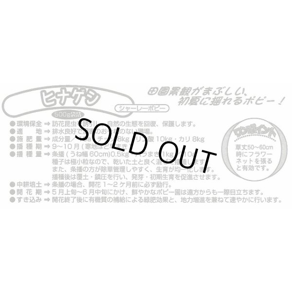 画像4: [景観形成作物]　ヒナゲシ　500g　カネコ種苗（株） (4)