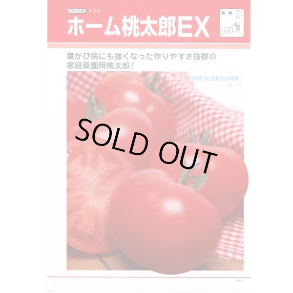 画像3: 送料無料　[トマト/桃太郎系]　ホーム桃太郎ＥＸ　29粒　タキイ種苗(株)　DF (3)