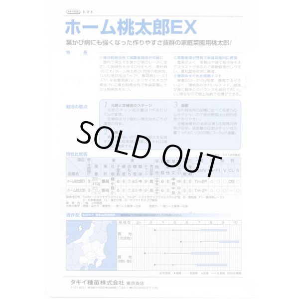 画像4: 送料無料　[トマト/桃太郎系]　ホーム桃太郎ＥＸ　29粒　タキイ種苗(株)　DF (4)