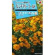 画像1: 花の種　フレンチマリーゴールド　グランドコントロール　小袋　　タキイ種苗（株）　(NL150) (1)