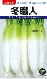 画像: 送料無料　[大根]　冬職人　4ml　(株)タカヤマシード