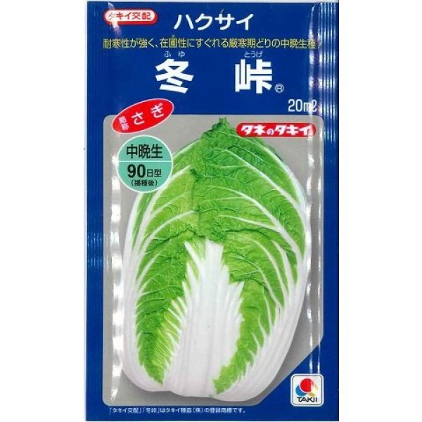 画像1: 送料無料　[白菜]　冬峠　20ml　タキイ種苗(株) (1)