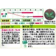 画像2: 送料無料　花の種　百日草・サンボウ混合　小袋　タキイ種苗(株) (2)