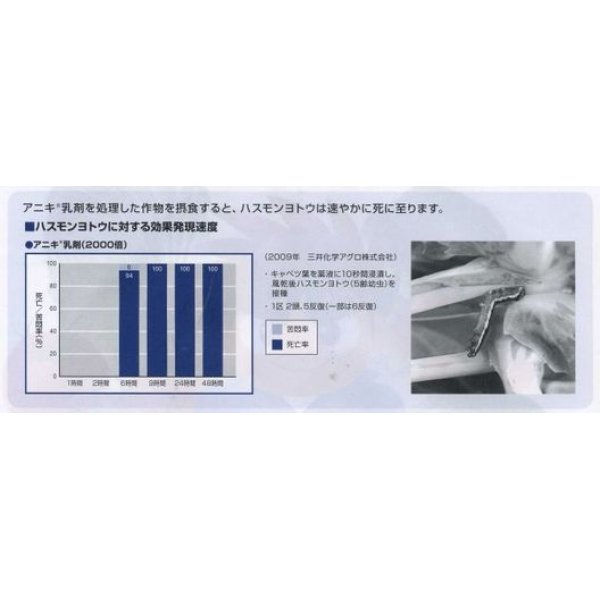 画像2: 農薬　殺虫剤　アニキ乳剤　100ml　　 三井化学アグロ株式会社 (2)