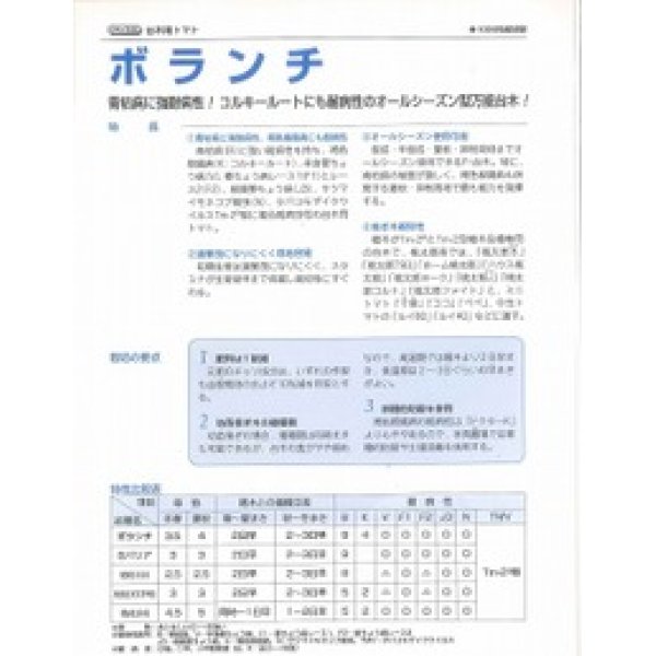 画像3: [台木/トマト用]　送料無料！　ボランチ　1000粒　タキイ種苗（株） (3)