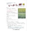画像3: [緑肥]　チャガラシ　いぶし菜　1kg　タキイ種苗(株) (3)