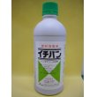 画像1: 農薬　資材消毒剤　イチバン　500ml 大塚アグリテクノ (1)