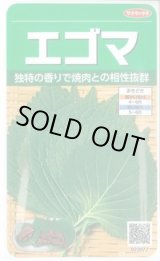 画像: 送料無料　[葉物]　エゴマ　約800粒　(株)サカタのタネ　実咲250（002973）