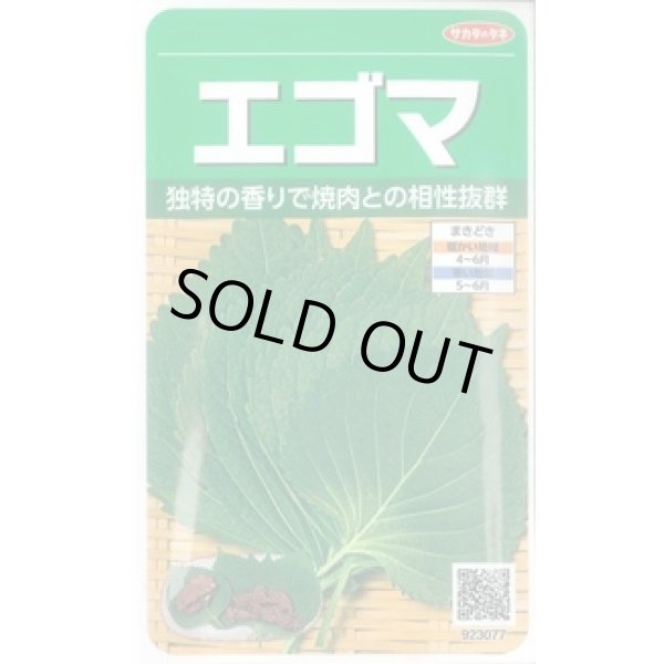 画像1: 送料無料　[葉物]　エゴマ　約800粒　(株)サカタのタネ　実咲250（002973） (1)