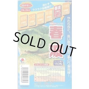 画像: 送料無料 [キャベツ] 春波 150粒 ペレット種子 タキイ種苗(株)