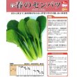 画像2: [小松菜]　春のセンバツ　10ml　トキタ種苗（株） (2)