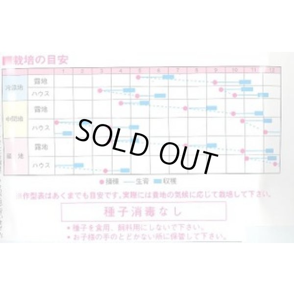 画像2: 送料無料　二コル　ルッコラ　1L　渡辺農事（株） (2)
