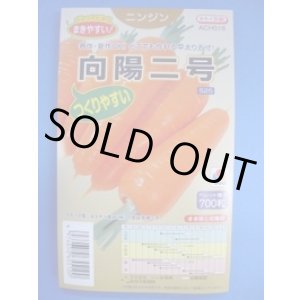 画像: 送料無料 [人参] 向陽二号 ペレット種子 700粒 タキイ種苗(株)