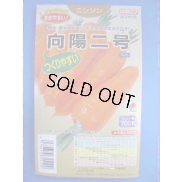 画像1: 送料無料 [人参] 向陽二号 ペレット種子 700粒 タキイ種苗(株) (1)