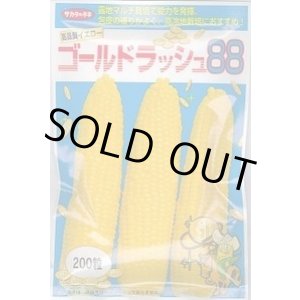 画像: 送料無料　[とうもろこし]　ゴールドラッシュ88　200粒　(株)サカタのタネ