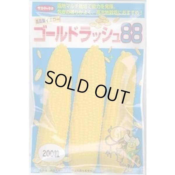 画像1: 送料無料　[とうもろこし]　ゴールドラッシュ88　200粒　(株)サカタのタネ (1)