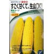 画像1: [とうもろこし]　味なコーン 　　200粒　（株）タカヤマシード (1)