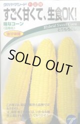 画像: 送料無料　[とうもろこし]　味なコーン　200粒　(株)タカヤマシード