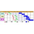 画像2: [キャベツ]　あまかぜ　1ml  渡辺交配 (2)