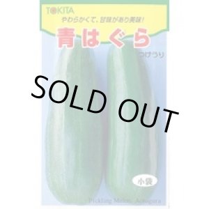 画像: 送料無料　[瓜類]　青はぐら　3ml(およそ100粒)　トキタ種苗(株)