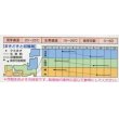 画像3: [かぶ]　ＣＲもちばな　3.5ml　タキイ種苗（株）　RF　 (3)