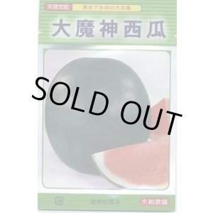 画像: 送料無料　[スイカ]　大玉スイカ　大魔神西瓜　7粒　大和農園