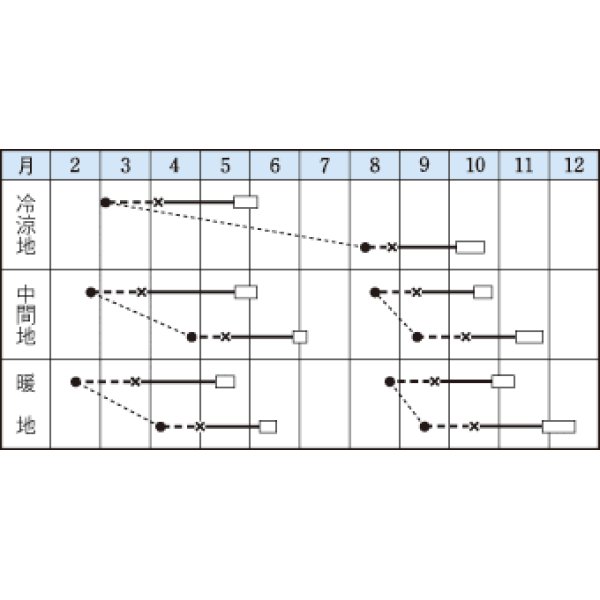 画像2: [レタス]　ダンシング　ペレット130粒　　　タキイ種苗（株） (2)