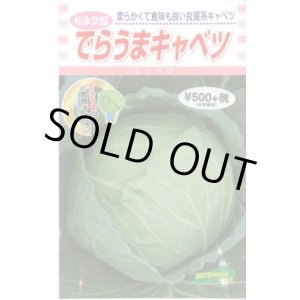 画像: [キャベツ] でらうま 1.5ml 松永種苗(株)