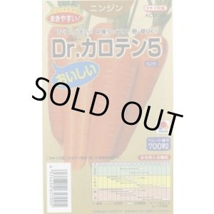 画像: 送料無料 [人参] Dr.カロテン5 ペレット種子 700粒 タキイ種苗(株)