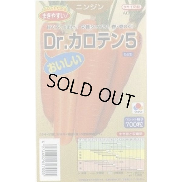 画像1: 送料無料 [人参] Dr.カロテン5 ペレット種子 700粒 タキイ種苗(株) (1)