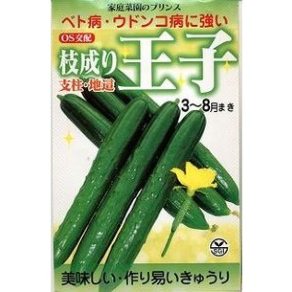 画像1: 送料無料　[キュウリ]　枝成り王子　400粒　埼玉原種育成会 (1)