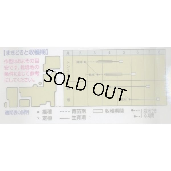 画像2: 送料無料　[枝豆]　江戸緑枝豆　35ml　タキイ種苗　GF (2)