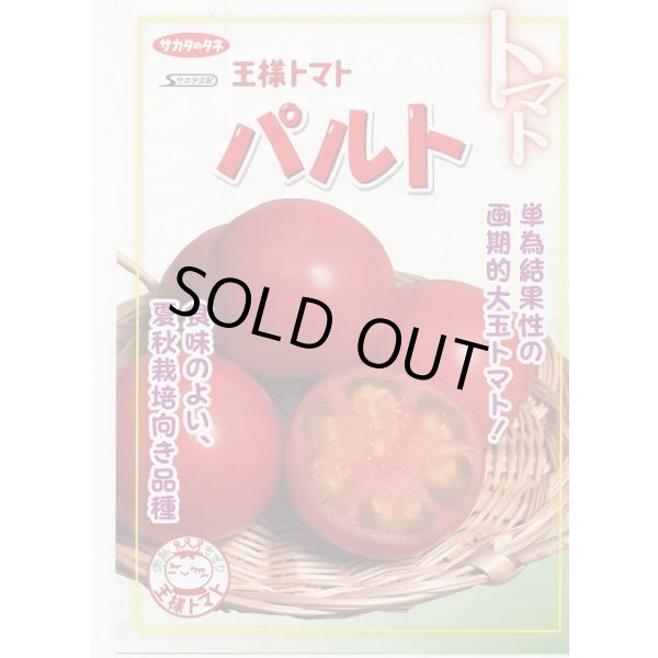画像2: 送料無料 [トマト] パルト 1000粒 (株)サカタのタネ (2)